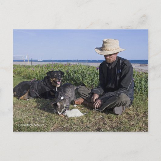 Greg PikeとBooger、子猫、Mousey ポストカード (正面)