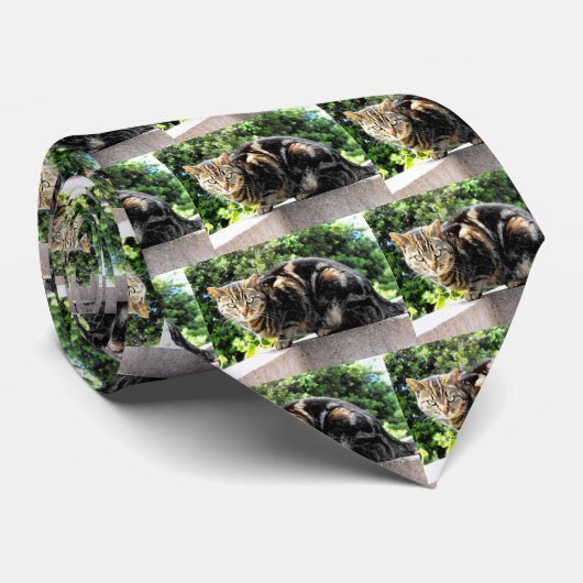 Gremlin虎猫猫 ネクタイ (ロール)