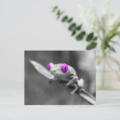 Grenouille aux yeux violets ポストカード (スタンド正面)