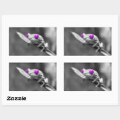 Grenouille aux yeux violets 長方形シール (シート)
