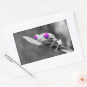 Grenouille aux yeux violets 長方形シール (封筒)