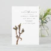 GRETA水色Joshua Tree写真Save the Date I 招待状 (スタンド正面)