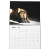 Greta Splendens: かなり多分最も最高のな犬 カレンダー (2月 2027)