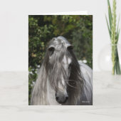 Grey Andalucian Stallion Headshot Long Mane カード (正面)