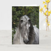 Grey Andalucian Stallion Headshot Long Mane カード (黄色い花)