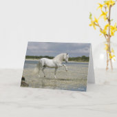 Grey Andalucian Stallion Standing In Lake カード (黄色い花)