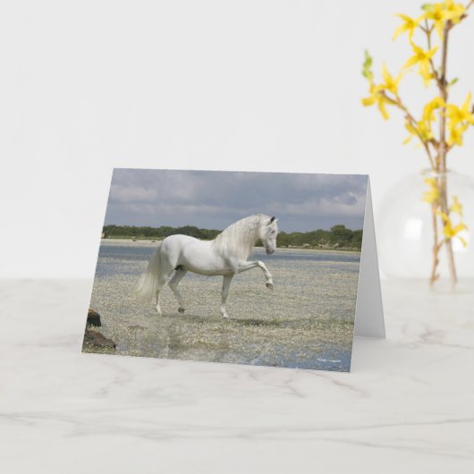 Grey Andalucian Stallion Standing In Lake カード (黄色い花)