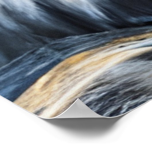 Grey Cat in a Crown ポスター (角)