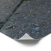 Grey Furry Australian Quokka、ポスター ポスター (角)