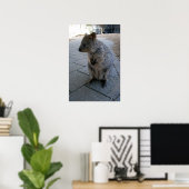 Grey Furry Australian Quokka、ポスター ポスター (ホームオフィス)