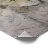 Grey Kitten Poster ポスター (角)