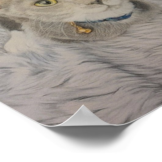 Grey Kitten Poster ポスター (角)