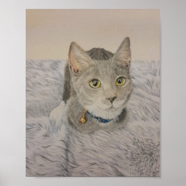 Grey Kitten Poster ポスター