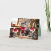 Grey Tabby Christmas Cookies Card カード (正面)