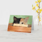 Greyfoot猫の救助のさらさの子ネコカード カード (黄色い花)