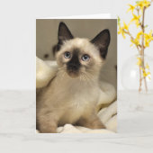 Greyfoot猫の救助のシャムの子ネコカード カード (黄色い花)