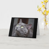 Greyfoot猫の救助のロシアので青い挨拶状 カード (黄色い花)