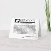 Greyfoot猫の救助の生命はピアノカードです カード (裏面)