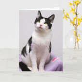 Greyfoot猫の救助の白黒タキシードカード カード (黄色い花)