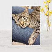 Greyfoot猫の救助の銀製灰色の虎猫カード カード (黄色い花)