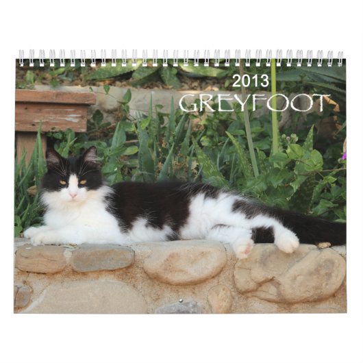 Greyfoot猫の救助2013のカレンダー カレンダー (カバー)