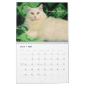 Greyfoot猫の救助2016のカレンダー カレンダー (3月 2027)