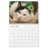 Greyfoot猫の救助2017のカレンダー カレンダー (3月 2026)