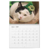 Greyfoot猫の救助2017のカレンダー カレンダー (3月 2027)