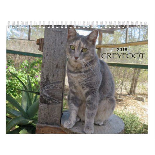 Greyfoot猫の救助2018のカレンダー カレンダー (カバー)