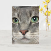 Greyfoot猫の救助-それらの目-挨拶状 カード (黄色い花)