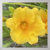 greyforaday Yellow Floral Print ポスター (正面)