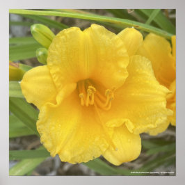 greyforaday Yellow Floral Print ポスター