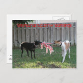 Greyhoundハートストリングポストカード ポストカード (正面/裏面)