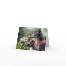 Greyhoundフォトカード(p343)