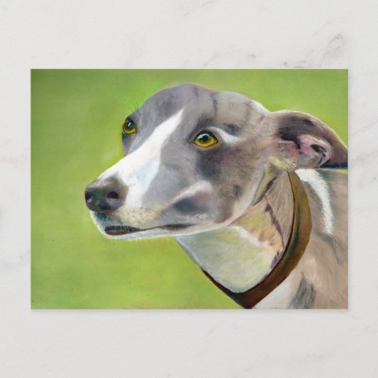 Greyhoundポストカード(a404) ポストカード (正面)