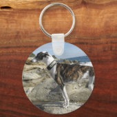Greyhound写真キーチェーン キーホルダー (正面)