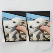 Greyhound次元の大きいグリーティングカード カード (内部)