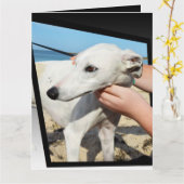 Greyhound次元の大きいグリーティングカード カード (黄色い花)