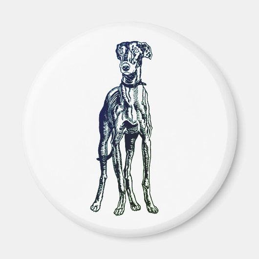 Greyhound Breed Magnet マグネット (正面)