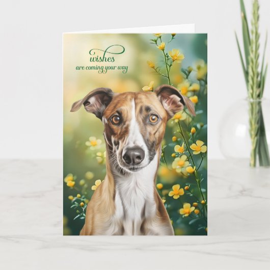 Greyhound Dog Tiny Yellow Flowers Get Well カード (正面)
