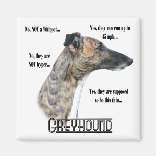 Greyhound FAQマグネット マグネット (正面)