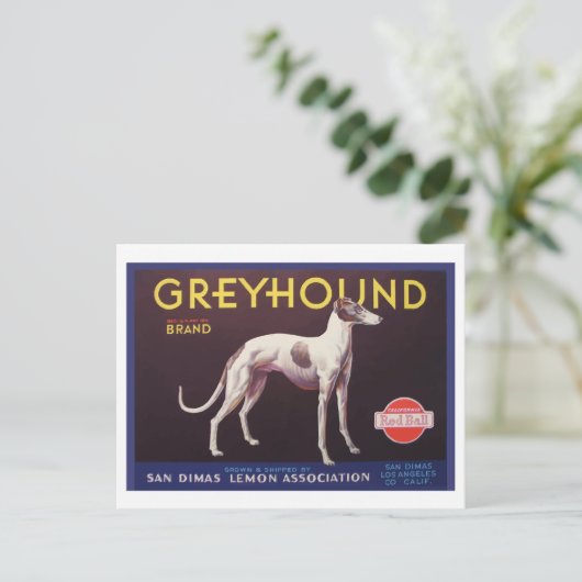 Greyhound Fruit Crate Label ポストカード (スタンド正面)