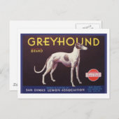 Greyhound Fruit Crate Label ポストカード (正面/裏面)