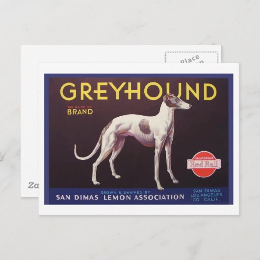 Greyhound Fruit Crate Label ポストカード (正面/裏面)