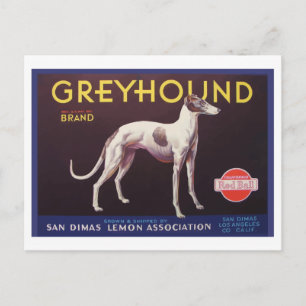Greyhound Fruit Crate Label ポストカード