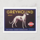 Greyhound Fruit Crate Label ポストカード (正面)