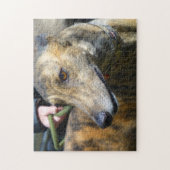 Greyhound jigsawパズル(p289) ジグソーパズル (縦)