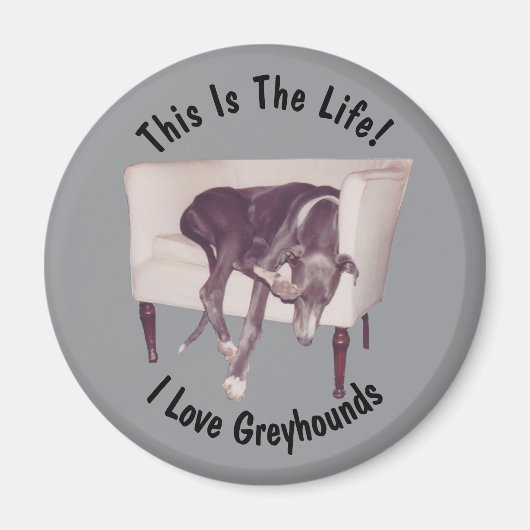 Greyhound This Is The Life  マグネット (正面)