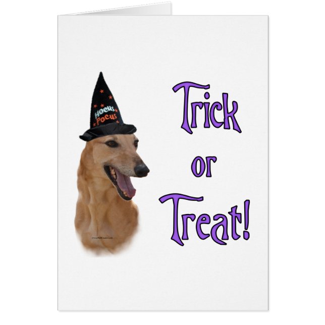 GreyhoundredTrick (正面)