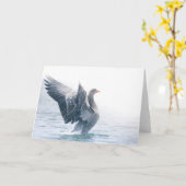 Greylagグースの自然写真 カード (黄色い花)